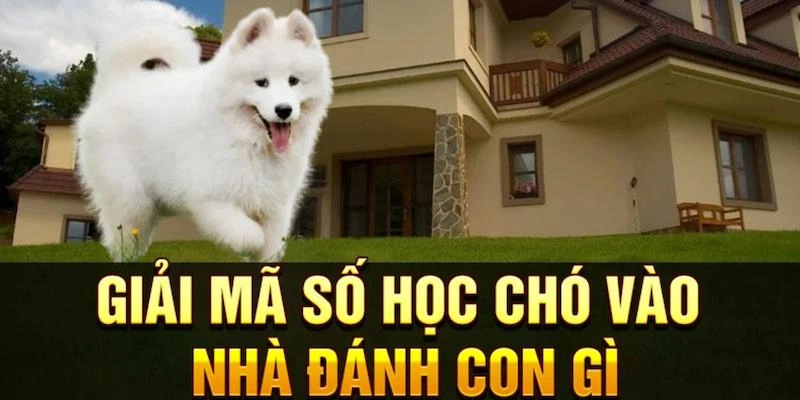 chó vào nhà đánh con gì