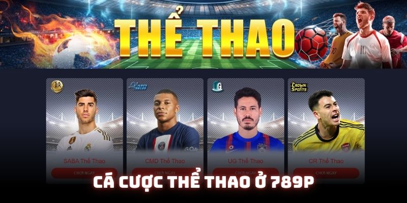 Cá cược thể thao đẳng cấp nhất thị trường trực tuyến